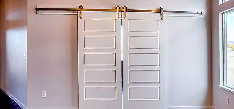 Glass Barn Door with Installation Hardware Kit Dale City